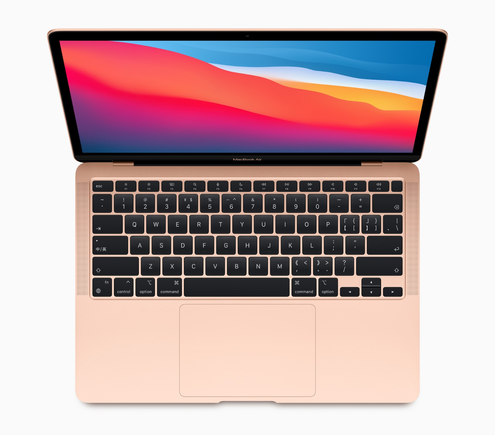 MacBook本体 Apple MacBook Air (M1, 2020) Apple PC Portatile MacBook Air 2020: Chip Apple M1, Display